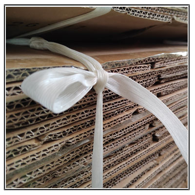 Baler strap